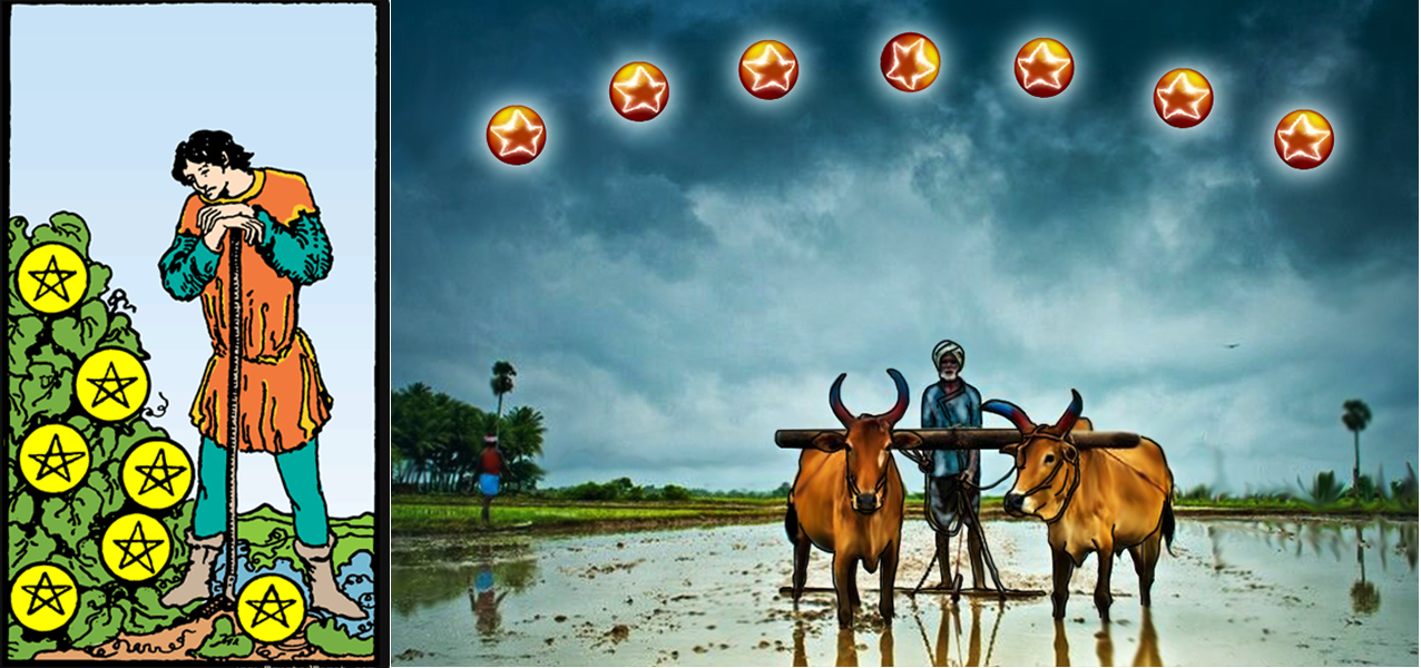 tarot.ideazunlimited.net.Seven of pentacles